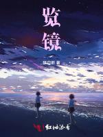 览镜
