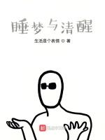 睡梦与清醒作品封面