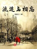 流连与相忘作品封面
