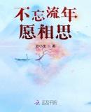 不忘流年愿相思作品封面
