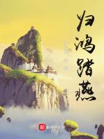 归鸿踏燕