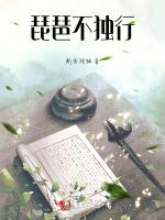 琵琶不独行
