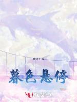 暮色悬停