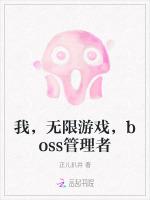 我，无限游戏，boss管理者