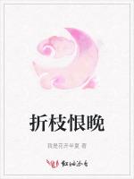 折枝恨晚