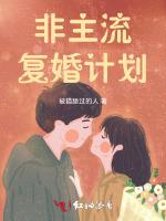 非主流复婚计划
