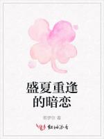 盛夏重逢的暗恋