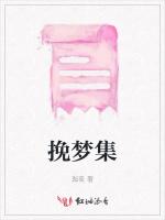 挽梦集