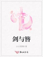 剑与簪