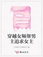 穿越女频帮男主追求女主