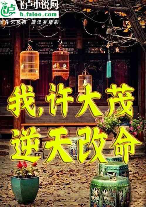 四合院：我，许大茂，逆天改命作品封面